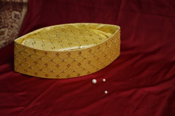 Topi