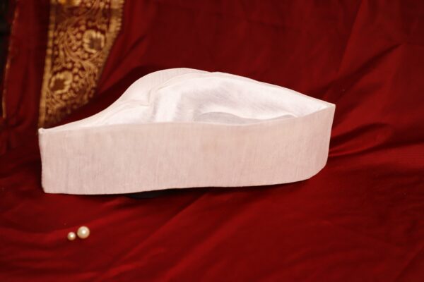 Topi